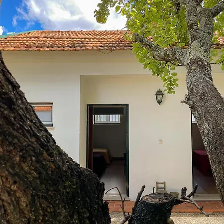 Casa Luis Pato *